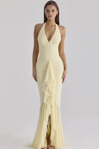 Vestido largo Carmine Lemon Mesh Silhouette