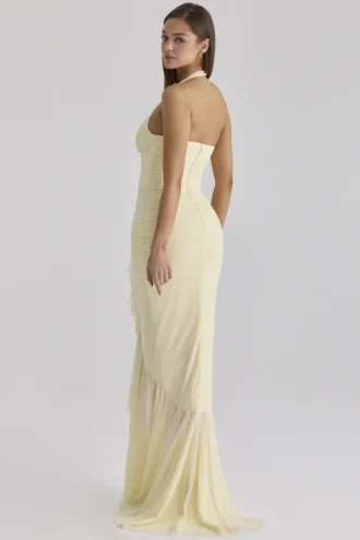 Vestido largo Carmine Lemon Mesh Silhouette